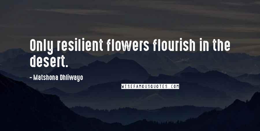 Matshona Dhliwayo Quotes: Only resilient flowers flourish in the desert.