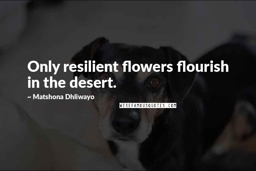Matshona Dhliwayo Quotes: Only resilient flowers flourish in the desert.