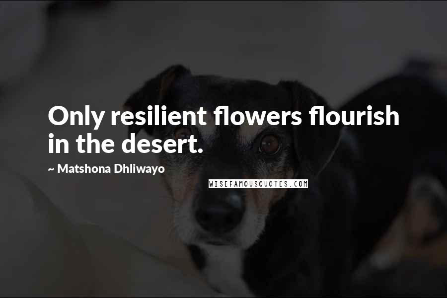 Matshona Dhliwayo Quotes: Only resilient flowers flourish in the desert.