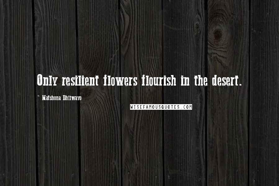 Matshona Dhliwayo Quotes: Only resilient flowers flourish in the desert.