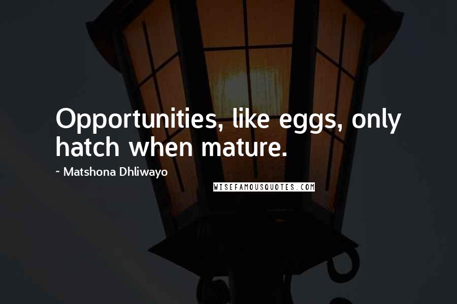 Matshona Dhliwayo Quotes: Opportunities, like eggs, only hatch when mature.