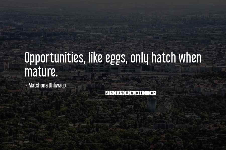 Matshona Dhliwayo Quotes: Opportunities, like eggs, only hatch when mature.