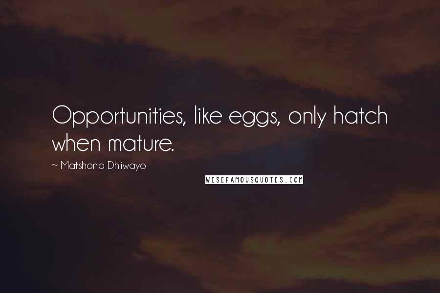Matshona Dhliwayo Quotes: Opportunities, like eggs, only hatch when mature.