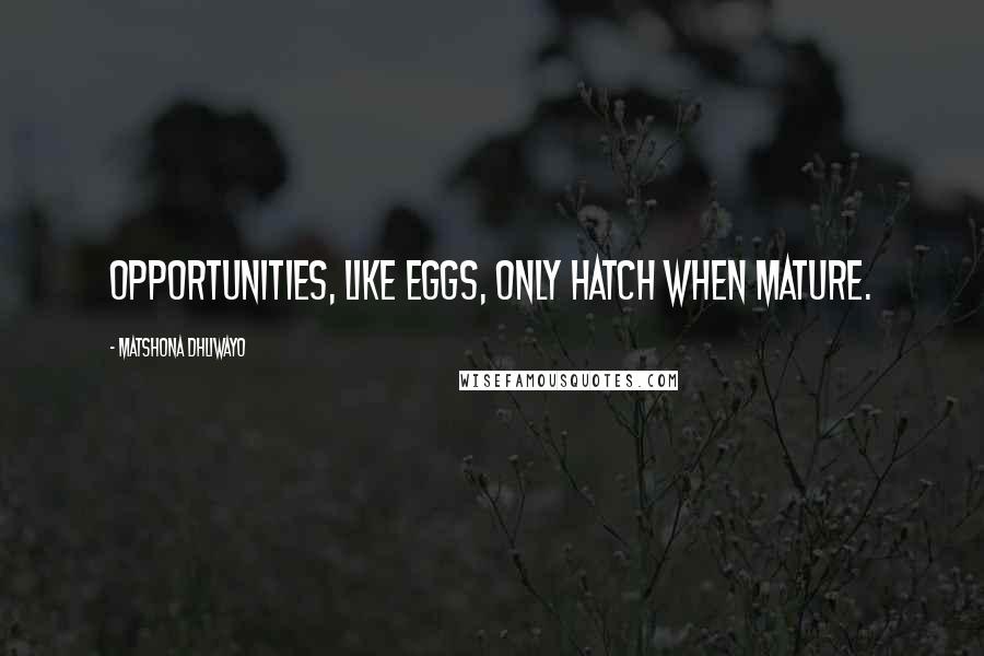 Matshona Dhliwayo Quotes: Opportunities, like eggs, only hatch when mature.