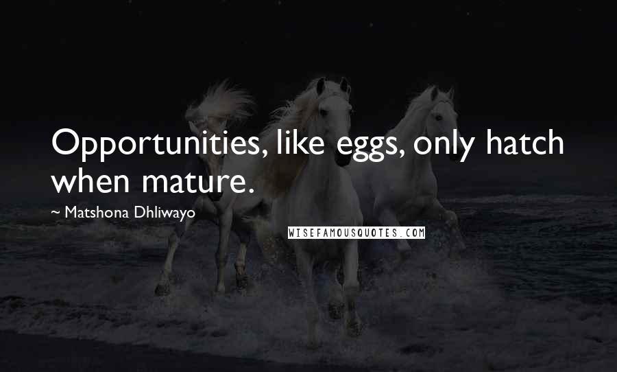 Matshona Dhliwayo Quotes: Opportunities, like eggs, only hatch when mature.