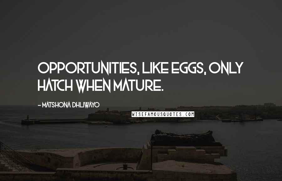 Matshona Dhliwayo Quotes: Opportunities, like eggs, only hatch when mature.