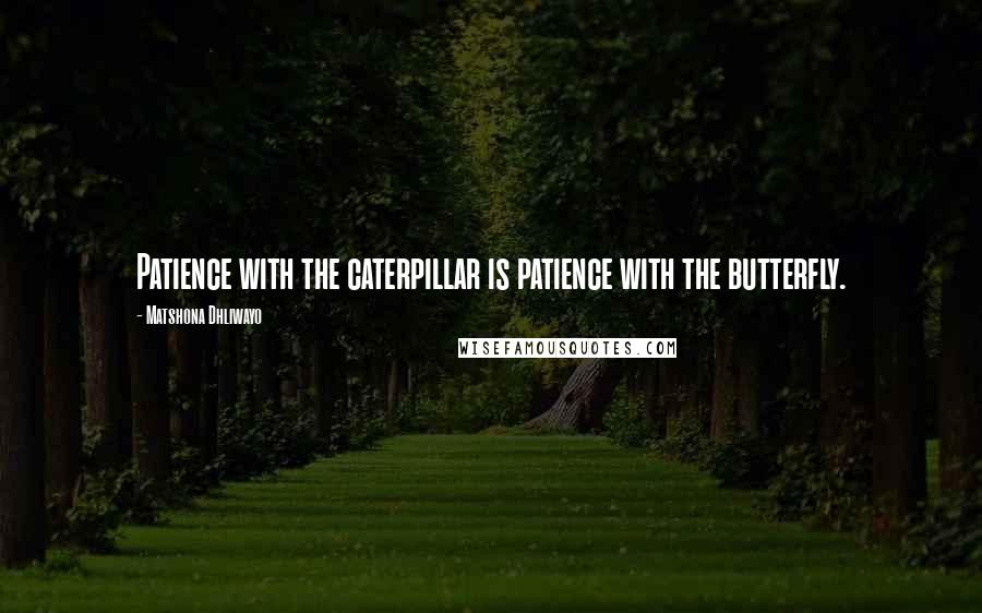 Matshona Dhliwayo Quotes: Patience with the caterpillar is patience with the butterfly.