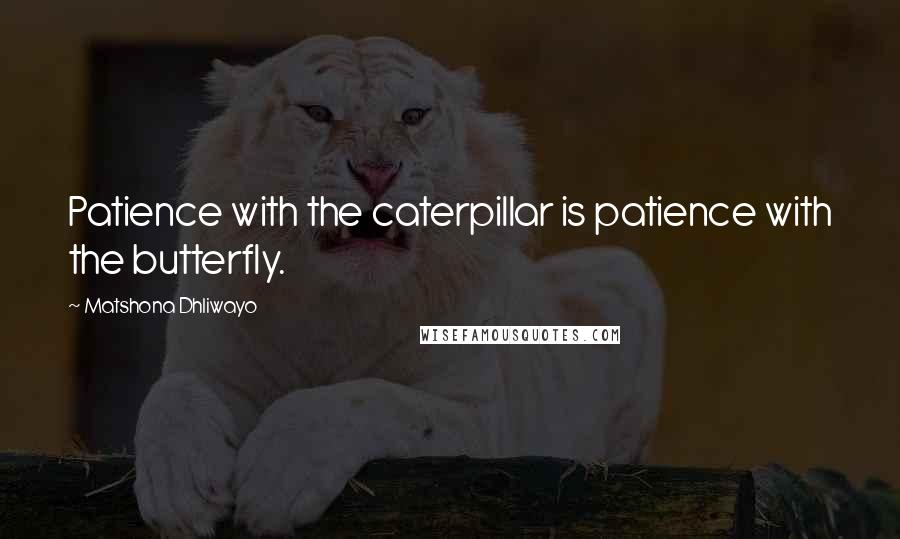 Matshona Dhliwayo Quotes: Patience with the caterpillar is patience with the butterfly.