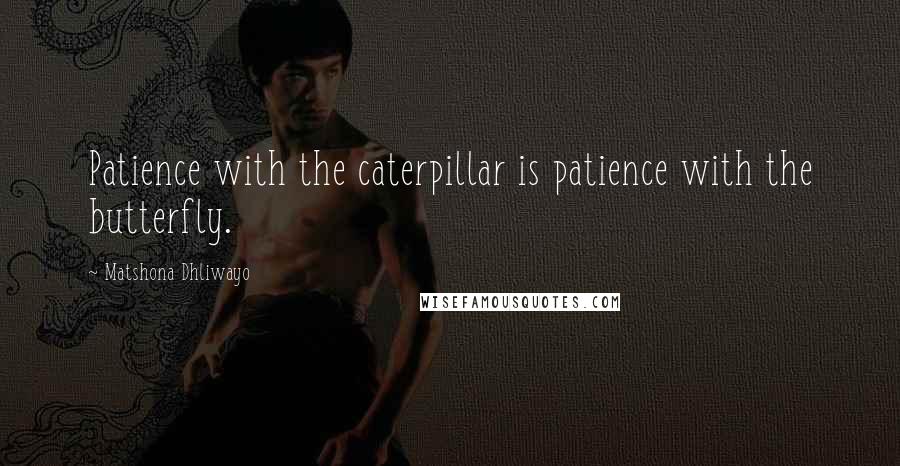 Matshona Dhliwayo Quotes: Patience with the caterpillar is patience with the butterfly.