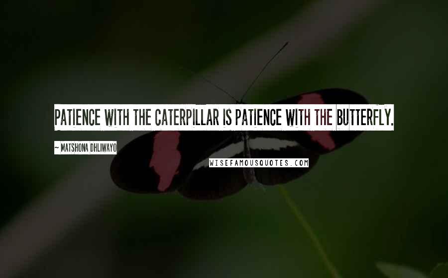 Matshona Dhliwayo Quotes: Patience with the caterpillar is patience with the butterfly.