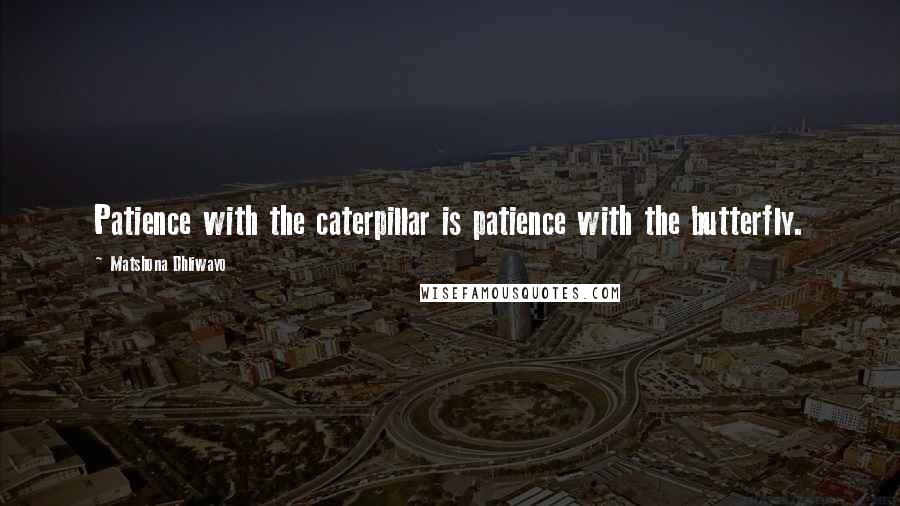 Matshona Dhliwayo Quotes: Patience with the caterpillar is patience with the butterfly.