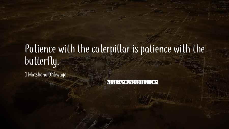 Matshona Dhliwayo Quotes: Patience with the caterpillar is patience with the butterfly.
