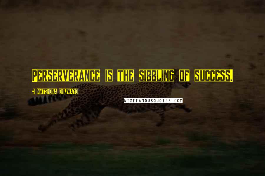 Matshona Dhliwayo Quotes: Perserverance is the sibbling of success.