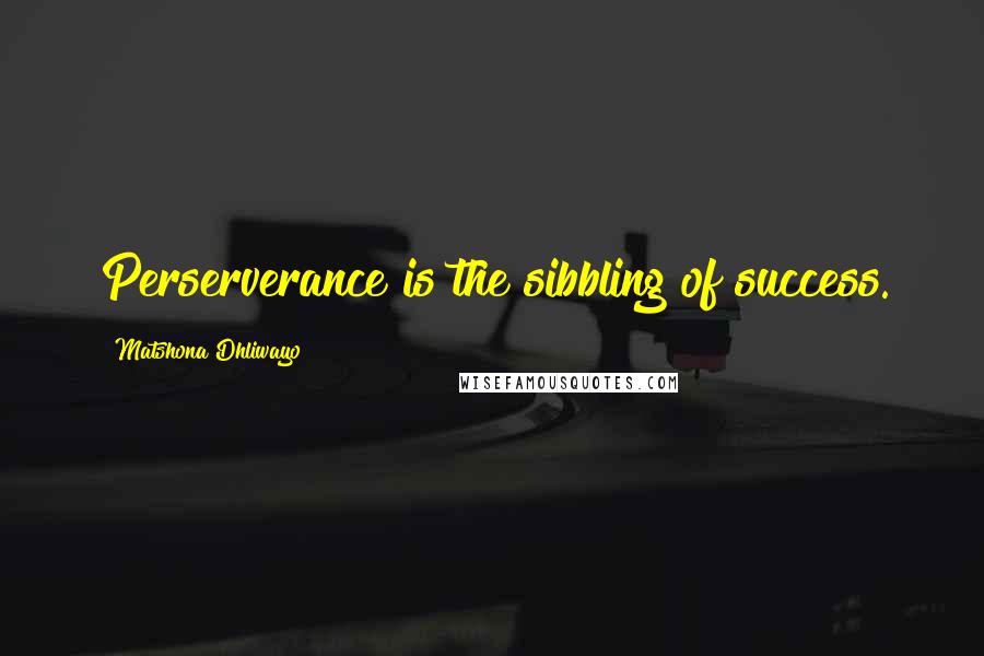 Matshona Dhliwayo Quotes: Perserverance is the sibbling of success.