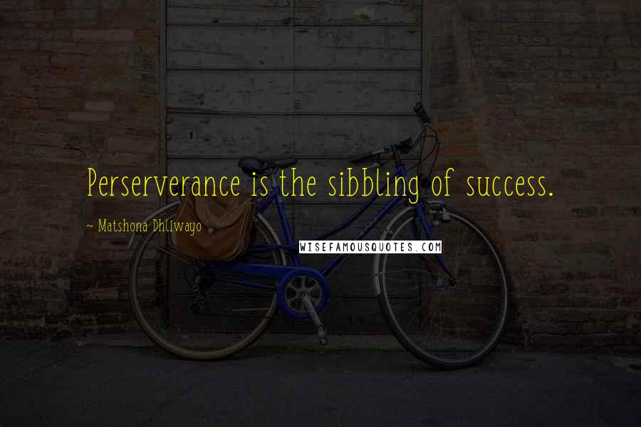 Matshona Dhliwayo Quotes: Perserverance is the sibbling of success.