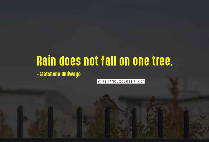 Matshona Dhliwayo Quotes: Rain does not fall on one tree.