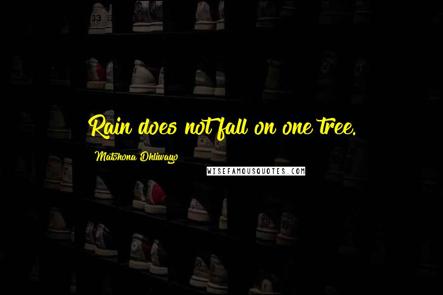 Matshona Dhliwayo Quotes: Rain does not fall on one tree.