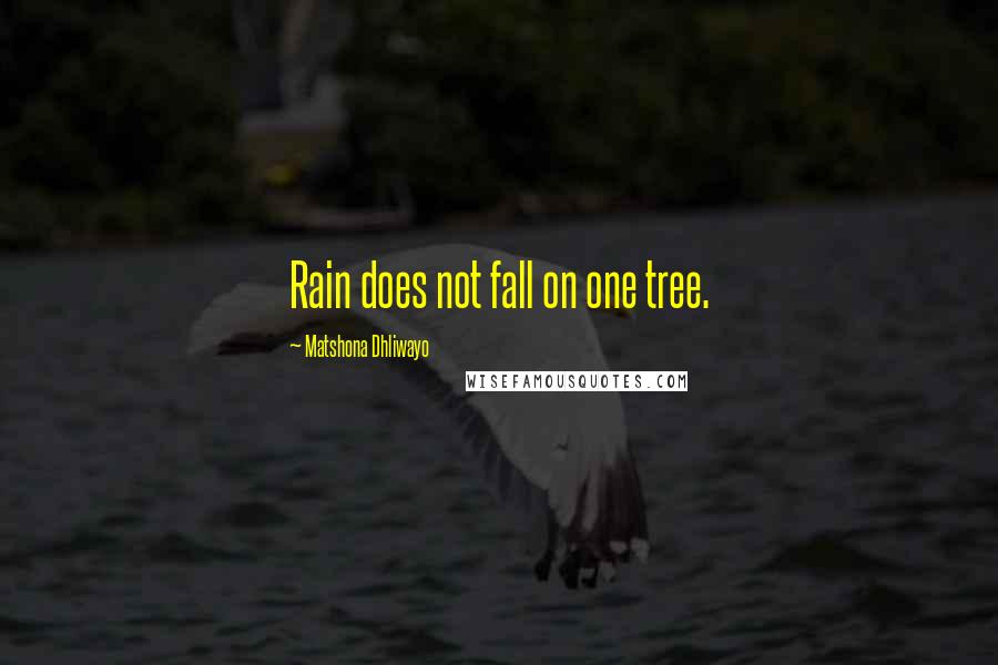 Matshona Dhliwayo Quotes: Rain does not fall on one tree.