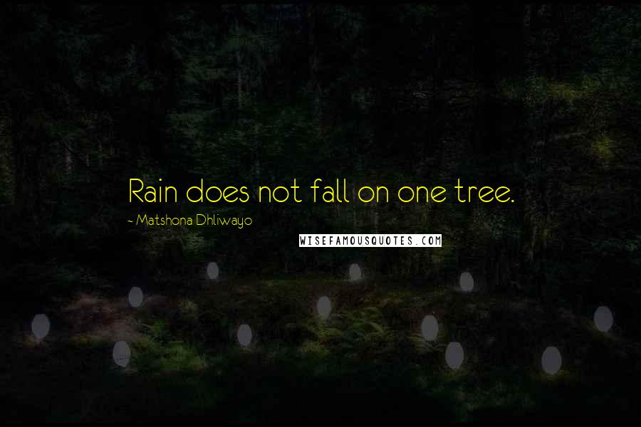 Matshona Dhliwayo Quotes: Rain does not fall on one tree.