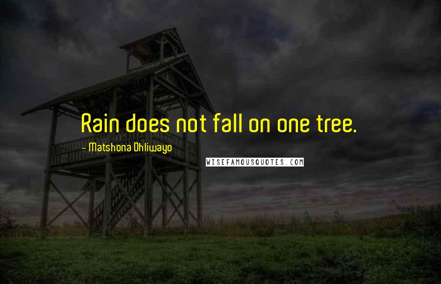 Matshona Dhliwayo Quotes: Rain does not fall on one tree.