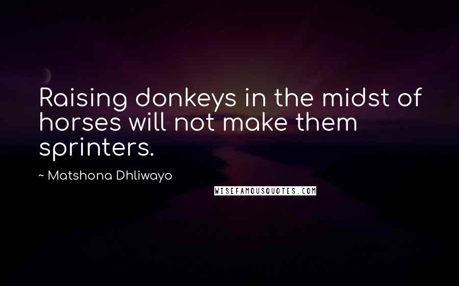 Matshona Dhliwayo Quotes: Raising donkeys in the midst of horses will not make them sprinters.