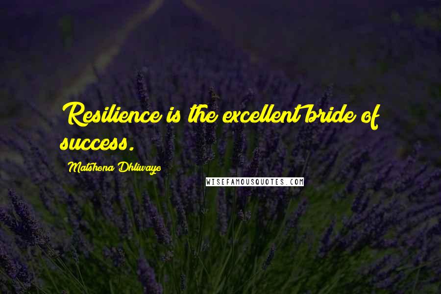 Matshona Dhliwayo Quotes: Resilience is the excellent bride of success.