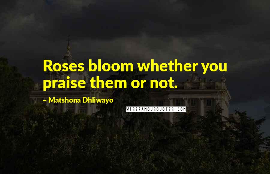 Matshona Dhliwayo Quotes: Roses bloom whether you praise them or not.