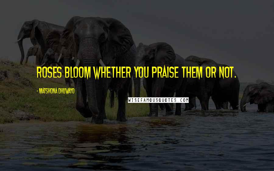 Matshona Dhliwayo Quotes: Roses bloom whether you praise them or not.