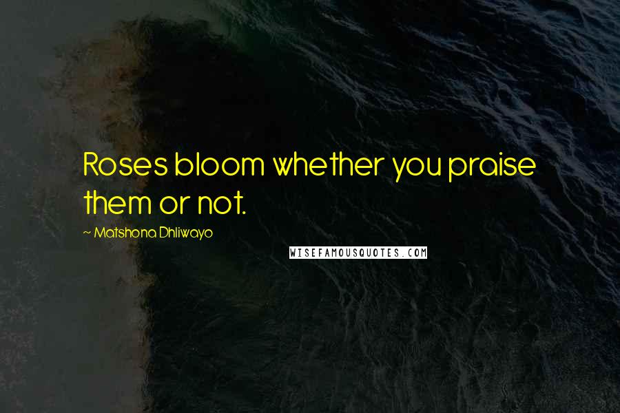 Matshona Dhliwayo Quotes: Roses bloom whether you praise them or not.