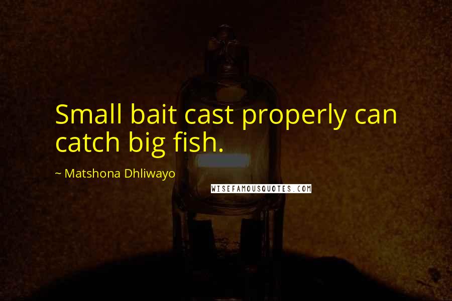 Matshona Dhliwayo Quotes: Small bait cast properly can catch big fish.