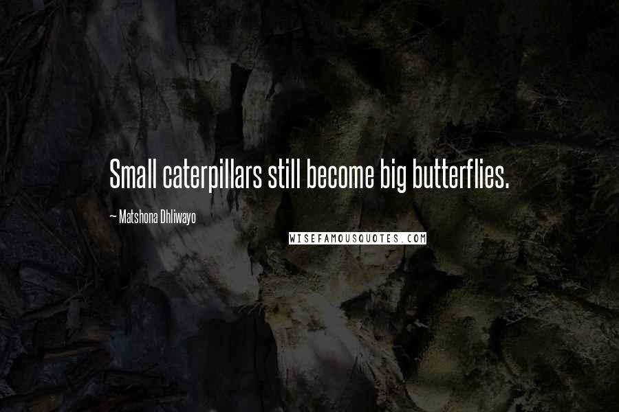 Matshona Dhliwayo Quotes: Small caterpillars still become big butterflies.