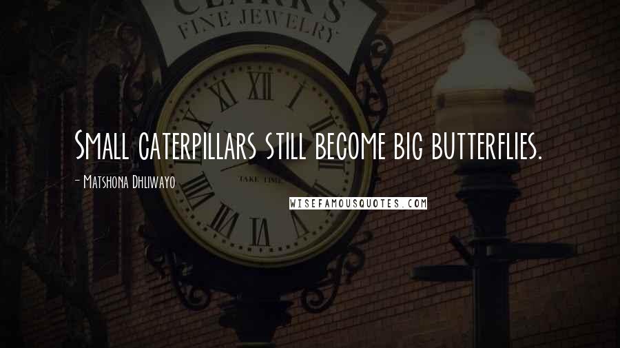 Matshona Dhliwayo Quotes: Small caterpillars still become big butterflies.