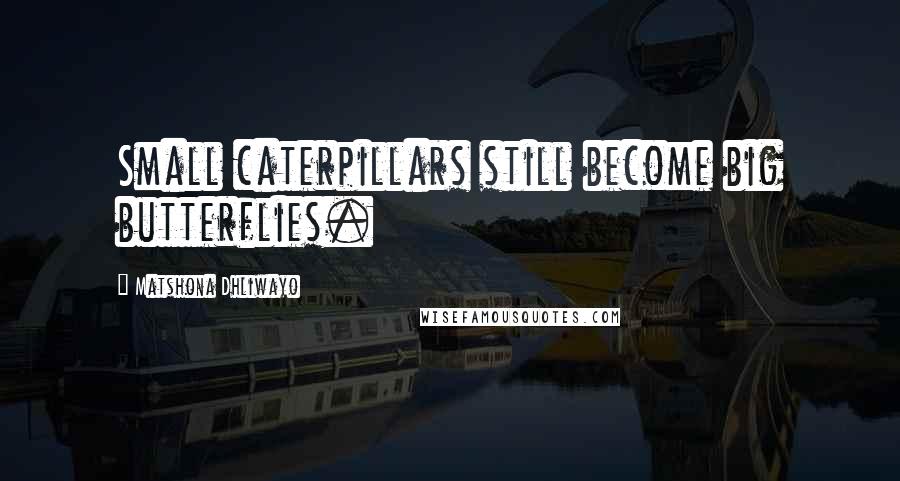 Matshona Dhliwayo Quotes: Small caterpillars still become big butterflies.