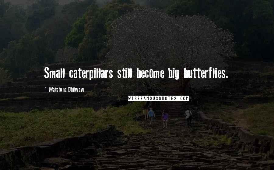 Matshona Dhliwayo Quotes: Small caterpillars still become big butterflies.