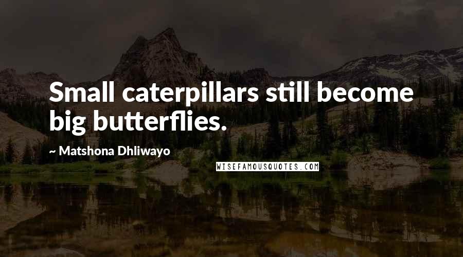 Matshona Dhliwayo Quotes: Small caterpillars still become big butterflies.