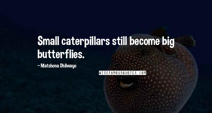 Matshona Dhliwayo Quotes: Small caterpillars still become big butterflies.