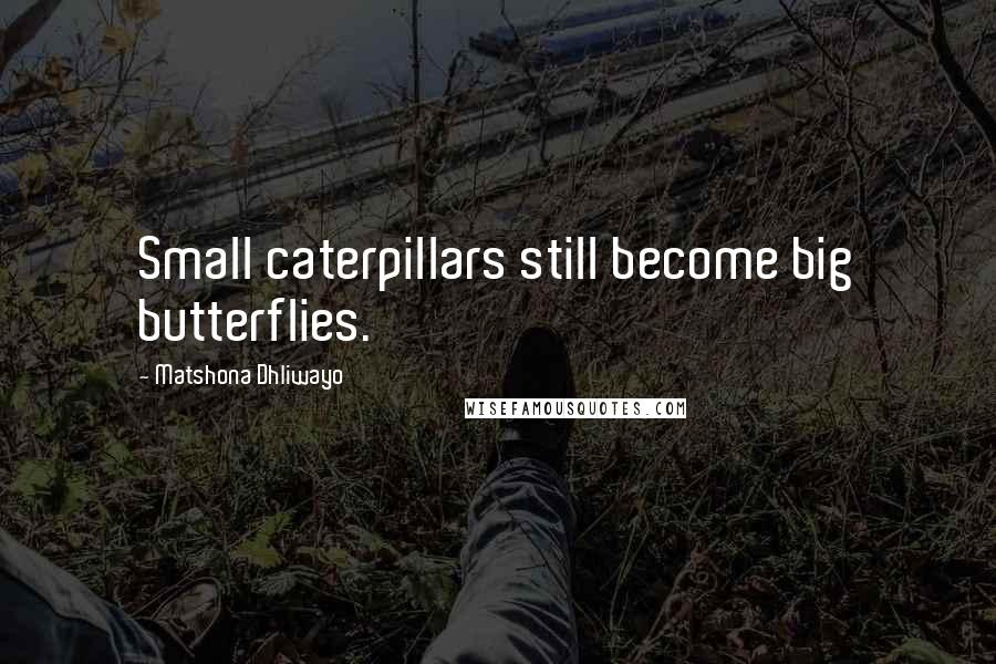 Matshona Dhliwayo Quotes: Small caterpillars still become big butterflies.