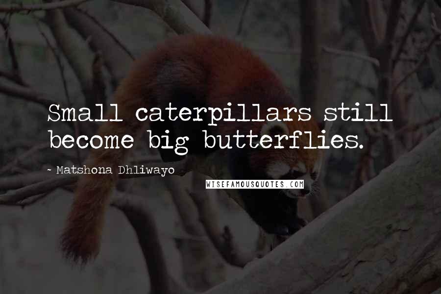 Matshona Dhliwayo Quotes: Small caterpillars still become big butterflies.