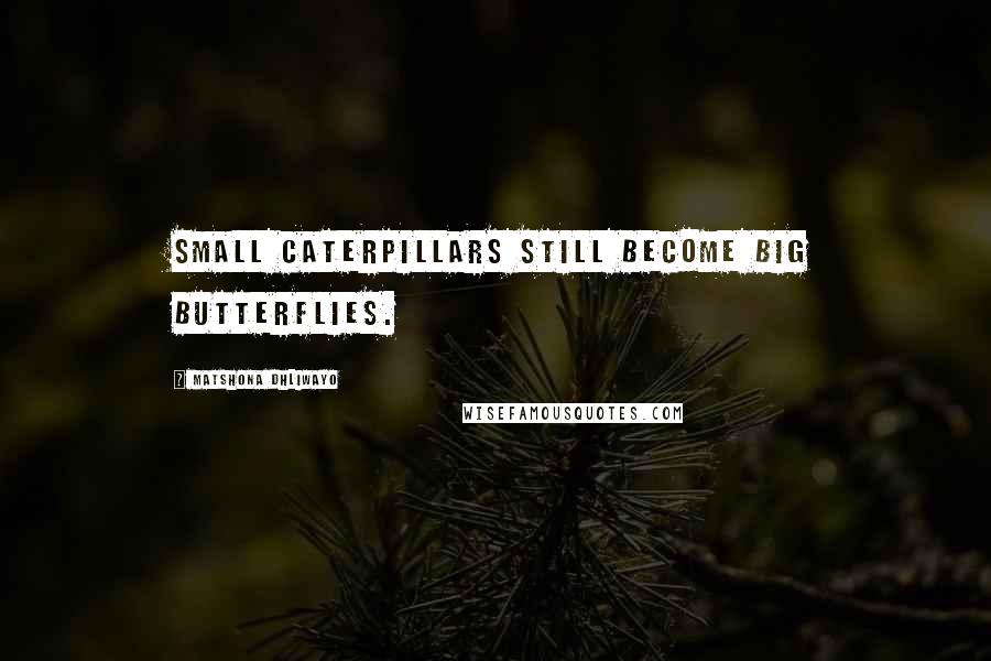 Matshona Dhliwayo Quotes: Small caterpillars still become big butterflies.