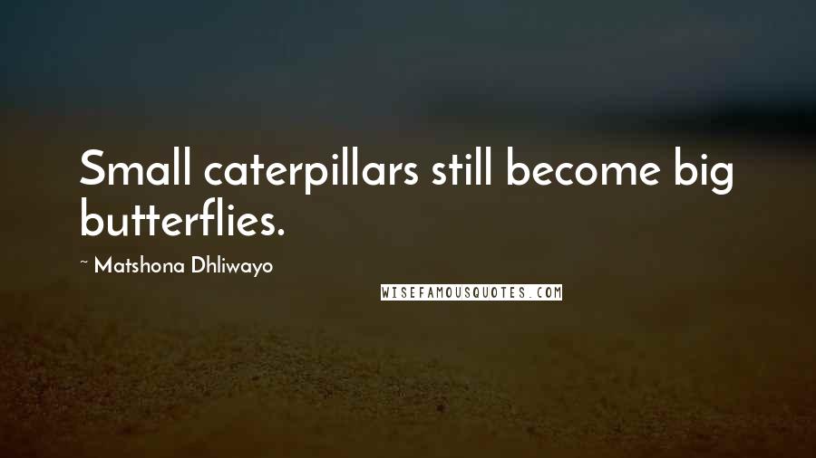 Matshona Dhliwayo Quotes: Small caterpillars still become big butterflies.