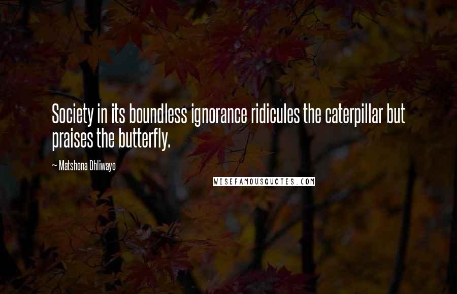 Matshona Dhliwayo Quotes: Society in its boundless ignorance ridicules the caterpillar but praises the butterfly.