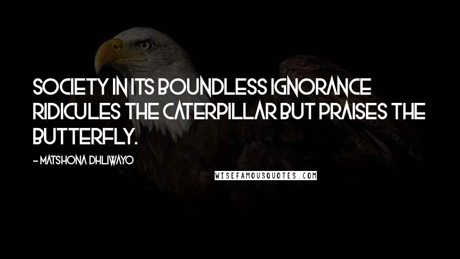 Matshona Dhliwayo Quotes: Society in its boundless ignorance ridicules the caterpillar but praises the butterfly.