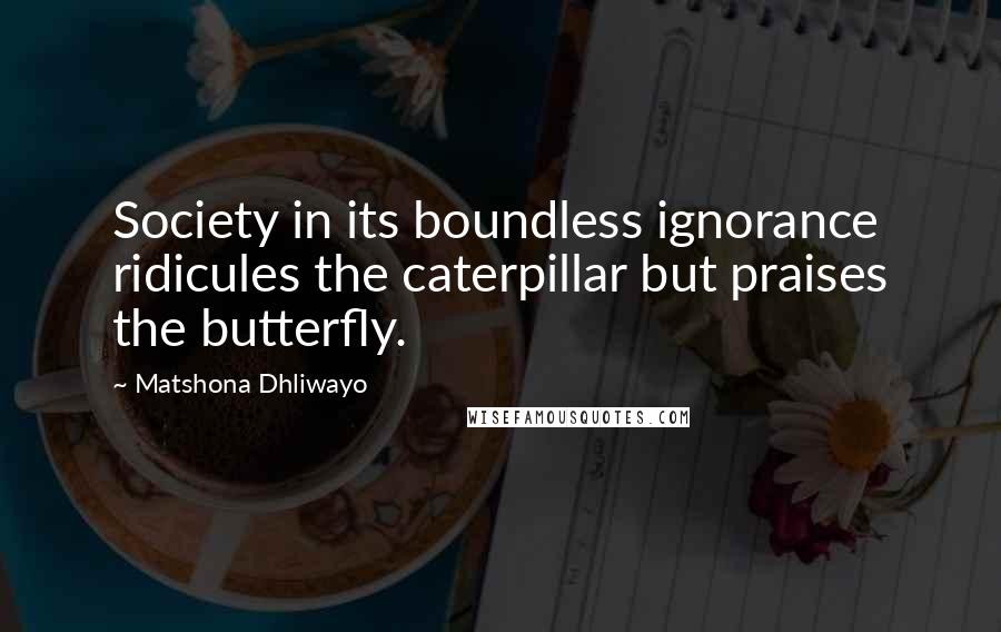 Matshona Dhliwayo Quotes: Society in its boundless ignorance ridicules the caterpillar but praises the butterfly.