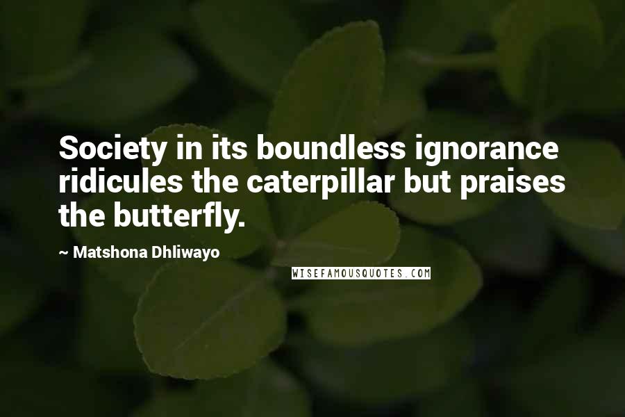 Matshona Dhliwayo Quotes: Society in its boundless ignorance ridicules the caterpillar but praises the butterfly.