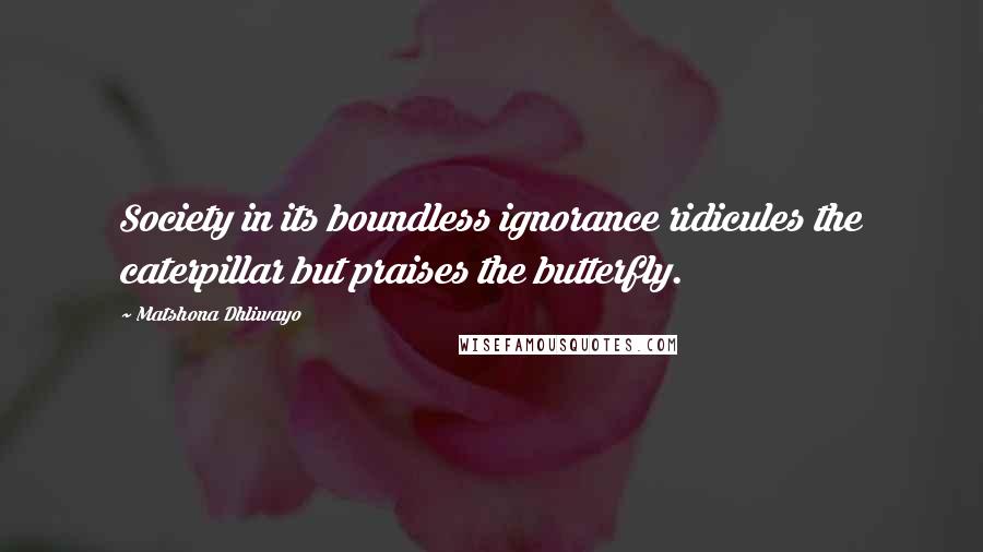 Matshona Dhliwayo Quotes: Society in its boundless ignorance ridicules the caterpillar but praises the butterfly.