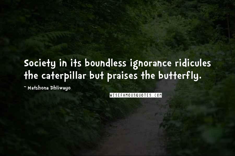 Matshona Dhliwayo Quotes: Society in its boundless ignorance ridicules the caterpillar but praises the butterfly.