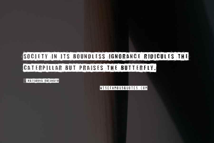 Matshona Dhliwayo Quotes: Society in its boundless ignorance ridicules the caterpillar but praises the butterfly.