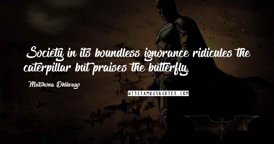 Matshona Dhliwayo Quotes: Society in its boundless ignorance ridicules the caterpillar but praises the butterfly.