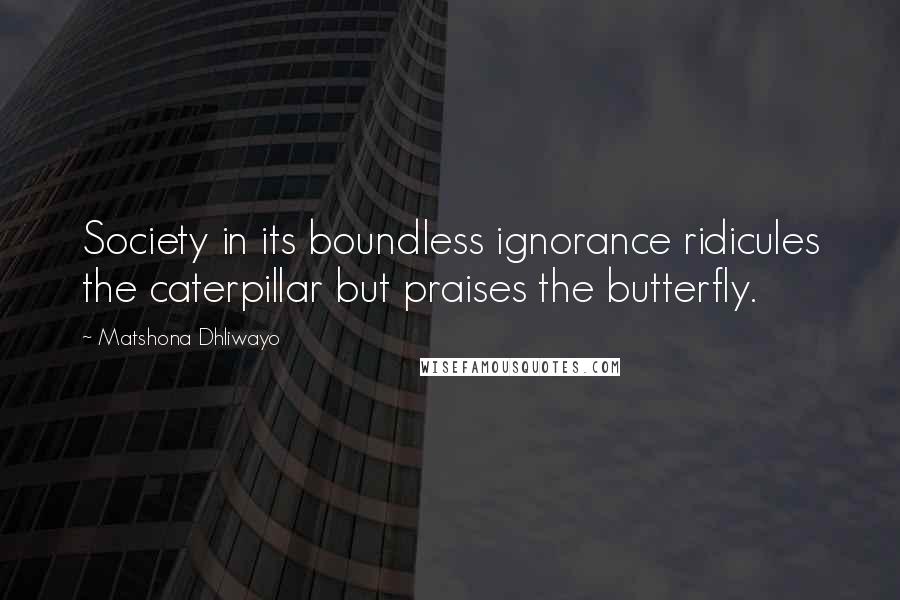 Matshona Dhliwayo Quotes: Society in its boundless ignorance ridicules the caterpillar but praises the butterfly.