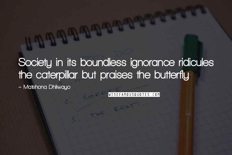 Matshona Dhliwayo Quotes: Society in its boundless ignorance ridicules the caterpillar but praises the butterfly.